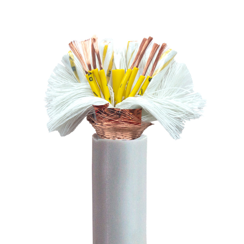 TRVVP product view 5